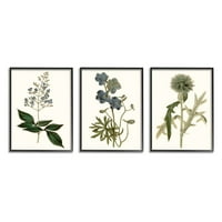 Vintage plavi Botanički cvjetovi na bež pozadini iz M. A., komad, 16 20