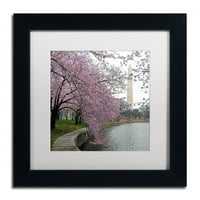Washington Blossoms Canvas Art by Cateyes, White Matte, crni okvir