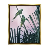 Tropski papagaji ružičasto nebo životinje i insekti fotografija Zlatni plovak uokvireni umjetnički tisak zidna