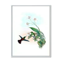 Dizajnerski crtež Povijesni Kolibri koji leti prema cvijetu tradicionalni uokvireni zidni otisak na platnu