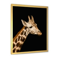 DesignArt 'Izbliza portret žirafe na crnoj IV' Farmhouse uokvireni umjetnički tisak