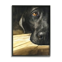 Portret odmarajućeg kućnog psa amb Labrador smeđa Crna u crnom okviru, 14, dizajnirao George Diachenko