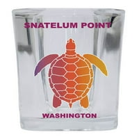 Point Square Shot Glass Rainbow Turtle Dizajn