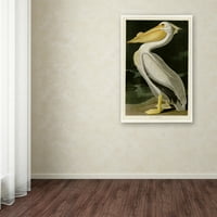 Zaštitni znak likovna umjetnost 'American White Pelican' platno umjetnost Johna Jamesa Audobona