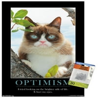 Mrzovoljna mačka-svjetliji poster na bočnom zidu s gumbima, 14.725 22.375