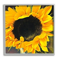 _ Žuti suncokret ljetni vrt botanička i cvjetna fotografija umjetnički tisak u sivom okviru zidna umjetnost