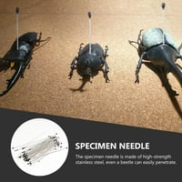 Uzorak insekata od nehrđajućeg čelika za školsku entomološku obdukciju -