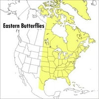 Predano u vlasništvu terenskog vodiča za istočne leptirice Peterson Field vodi meke korice Paul A. Opler