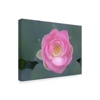 Zaštitni znak likovna umjetnost 'Blushing lotus I' platno umjetnost Jima Christensena