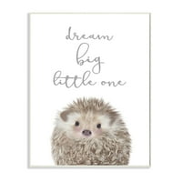 Dream Big Mali One Obojeni inspiracijski ježevi uokvireni slikar umjetnički tisak