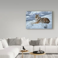 Zaštitni znak likovna umjetnost 'zatamnjenje nebeskog kojota' platno umjetnost Ron Parker
