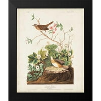 Audubon, John James Black Modern Framed Museum Art Print pod nazivom - PL LINCOLN FINCH