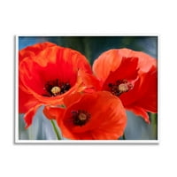 Podebljana crvena maka cvjetna trio botanička i cvjetna slika bijela uokvirena umjetnička print art art art