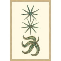 Marmont Hill Green Starfish uokviren tiskom slikarskog tiska