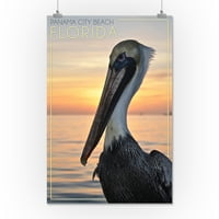 Panama City Beach, Florida, Pelican