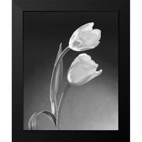 Uokvirena suvremena muzejska umjetnička gravura Stefanicha, Dicka i Diane Black pod nazivom duo tulipana