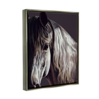 Stupell Industries izbliza portret konjskog lica Životinje i insekti fotografija sivi plutasti uokvireni umjetnički